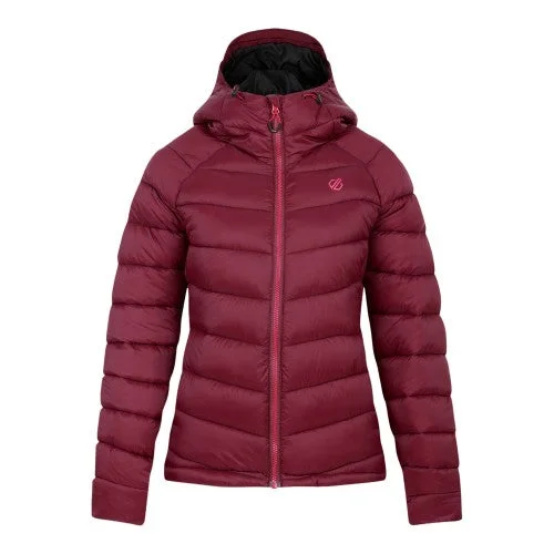 Today Only Dare 2B Womens/Ladies Torrek Baffled Padded Jacket