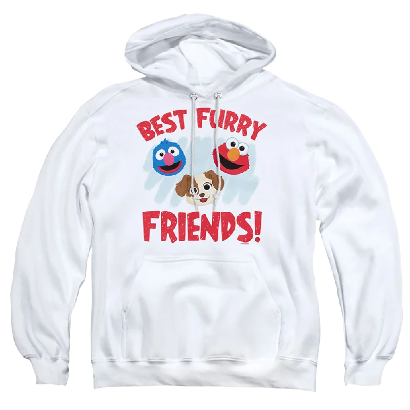 Buy More, Save More lightweight hoodieSesame Street Best Furry Friends - Pullover Hoodie Buy More, Save More lightweight hoodieSesame Street Best Furry Friends - Pullover Hoodie