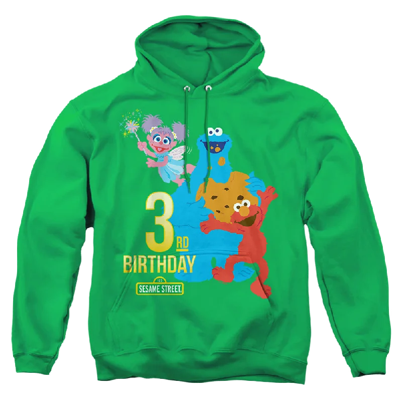 Take Advantage trendy hooded sweatshirtSesame Street 3Rd Birthday - Pullover Hoodie